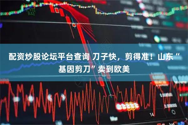 配资炒股论坛平台查询 刀子快，剪得准！山东“基因剪刀”卖到欧美