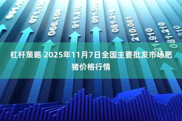 杠杆策略 2025年11月7日全国主要批发市场肥猪价格行情