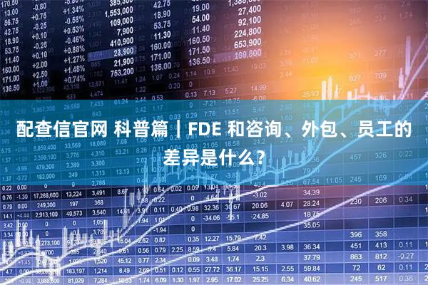 配查信官网 科普篇｜FDE 和咨询、外包、员工的差异是什么？